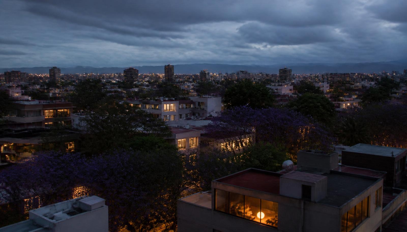 Mexico City rooftops at blue hour with jacaranda trees